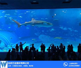 杭州大型亞克力魚缸設計公司及廠家推薦 全景展示，打造水中藝術